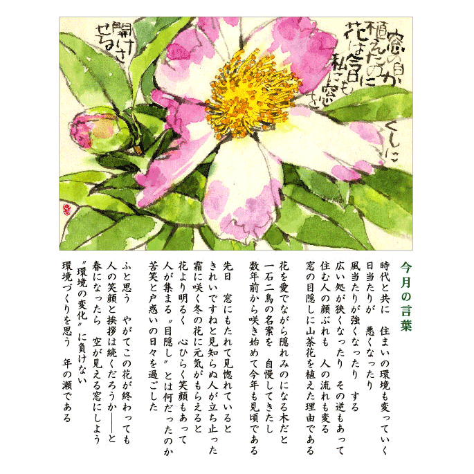 第112号（2018.12）サザンカ／山茶花