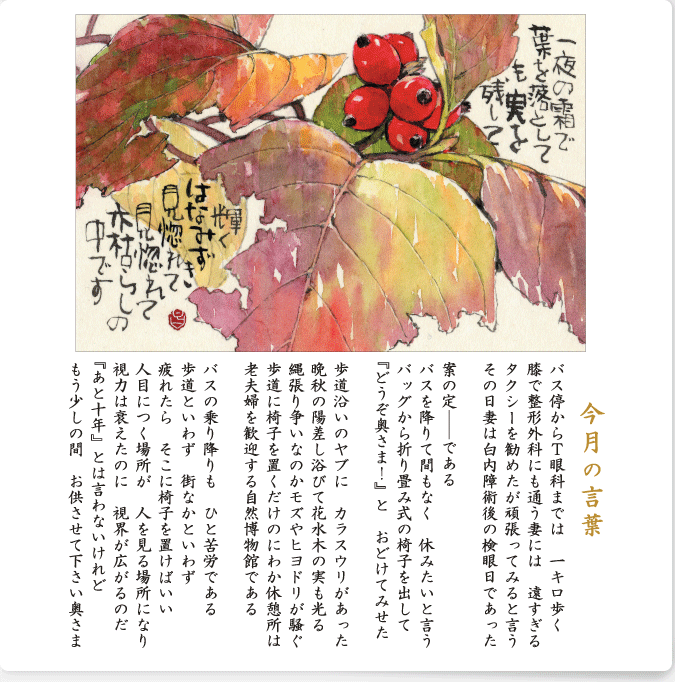 第99号（2017.11）ハナミズキ／花水木