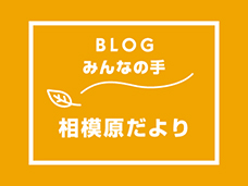 ブログ「みんなの手」 相模原だよりが更新されました