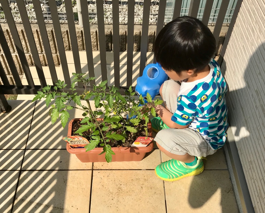 飯能院の愉快な仲間たち