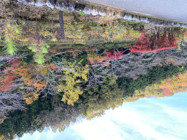 相模原からも紅葉のおすそ分け