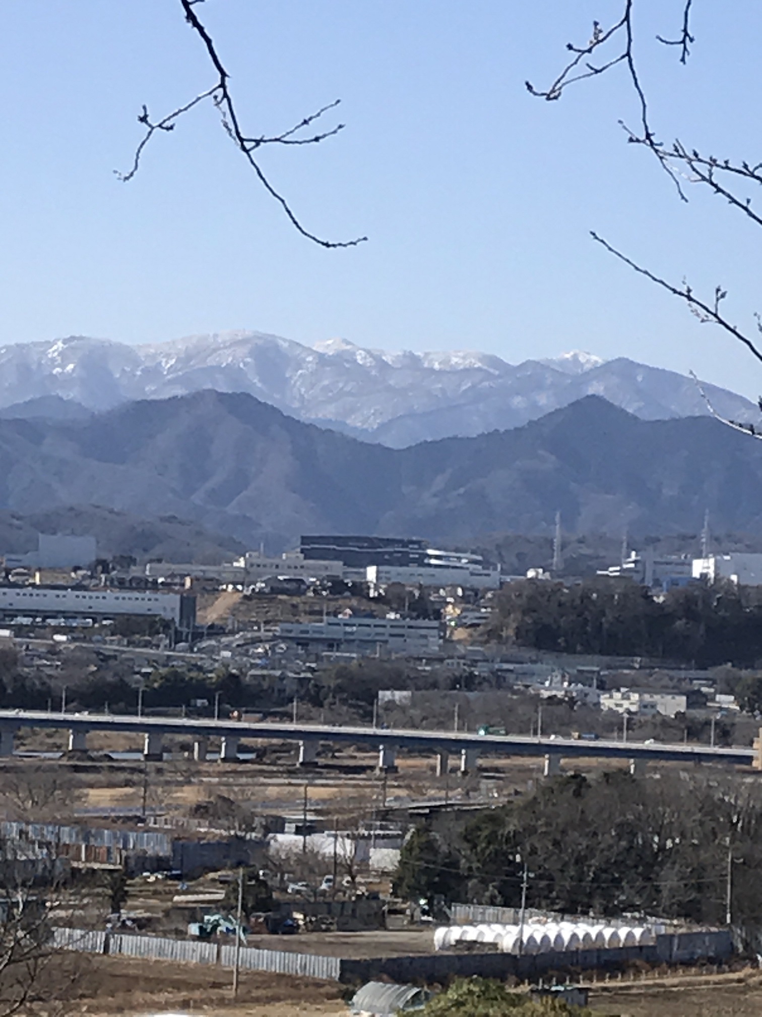 丹沢の山並みも白く染まりました