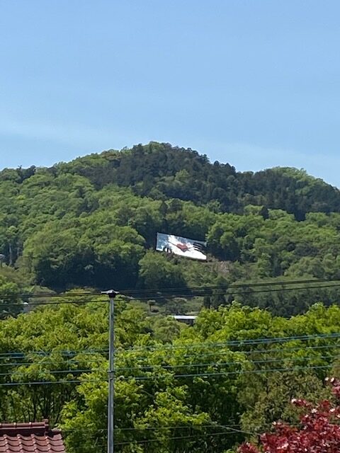 相模湖・緑のラブレター