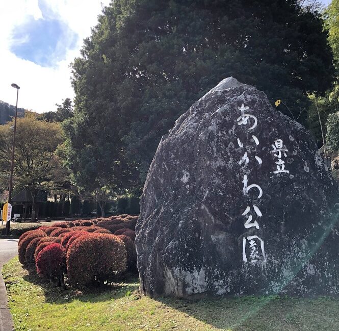 あいかわ公園の紅葉