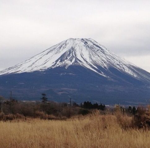 今年も一年ありがとうございました