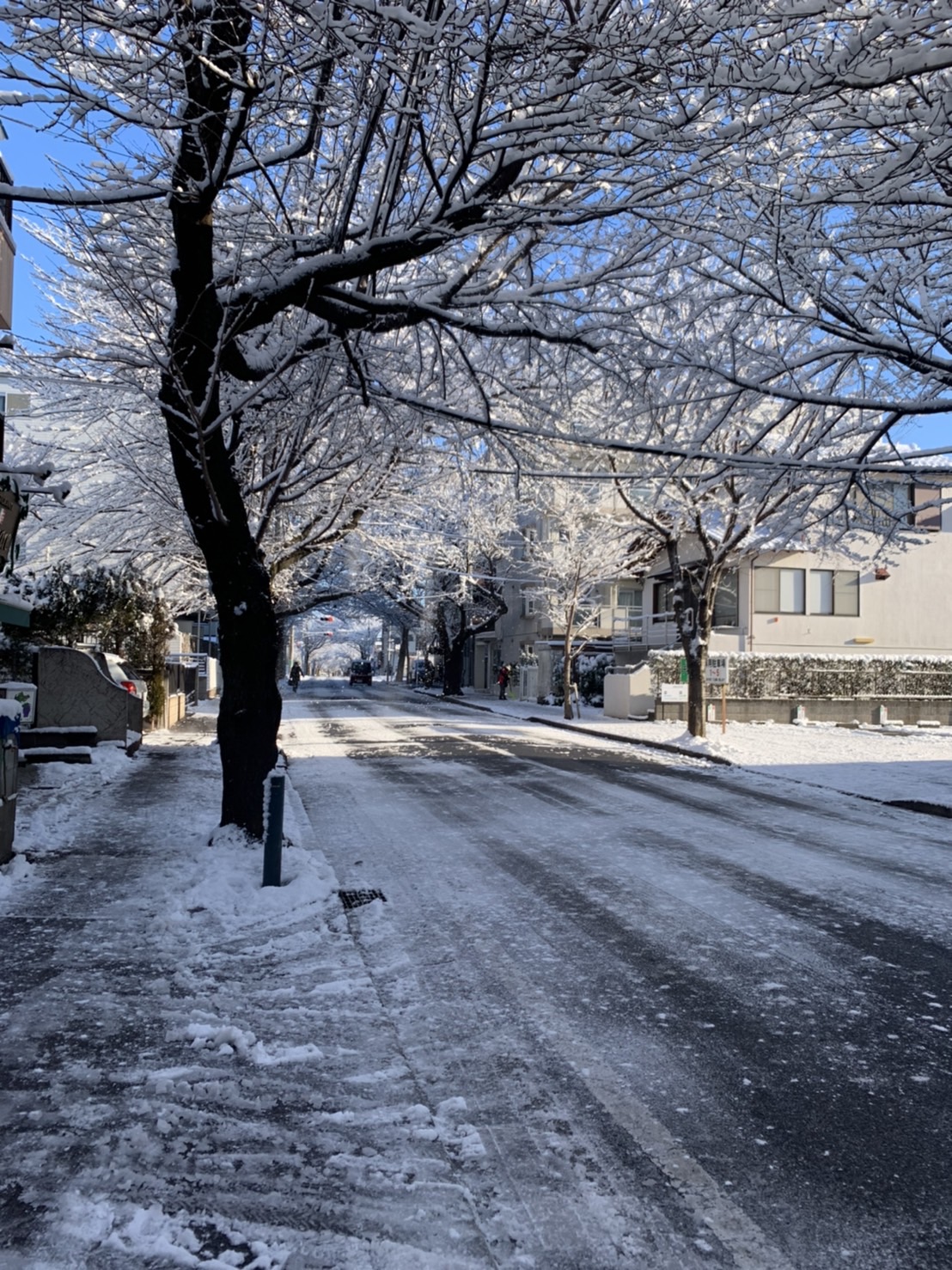 大雪