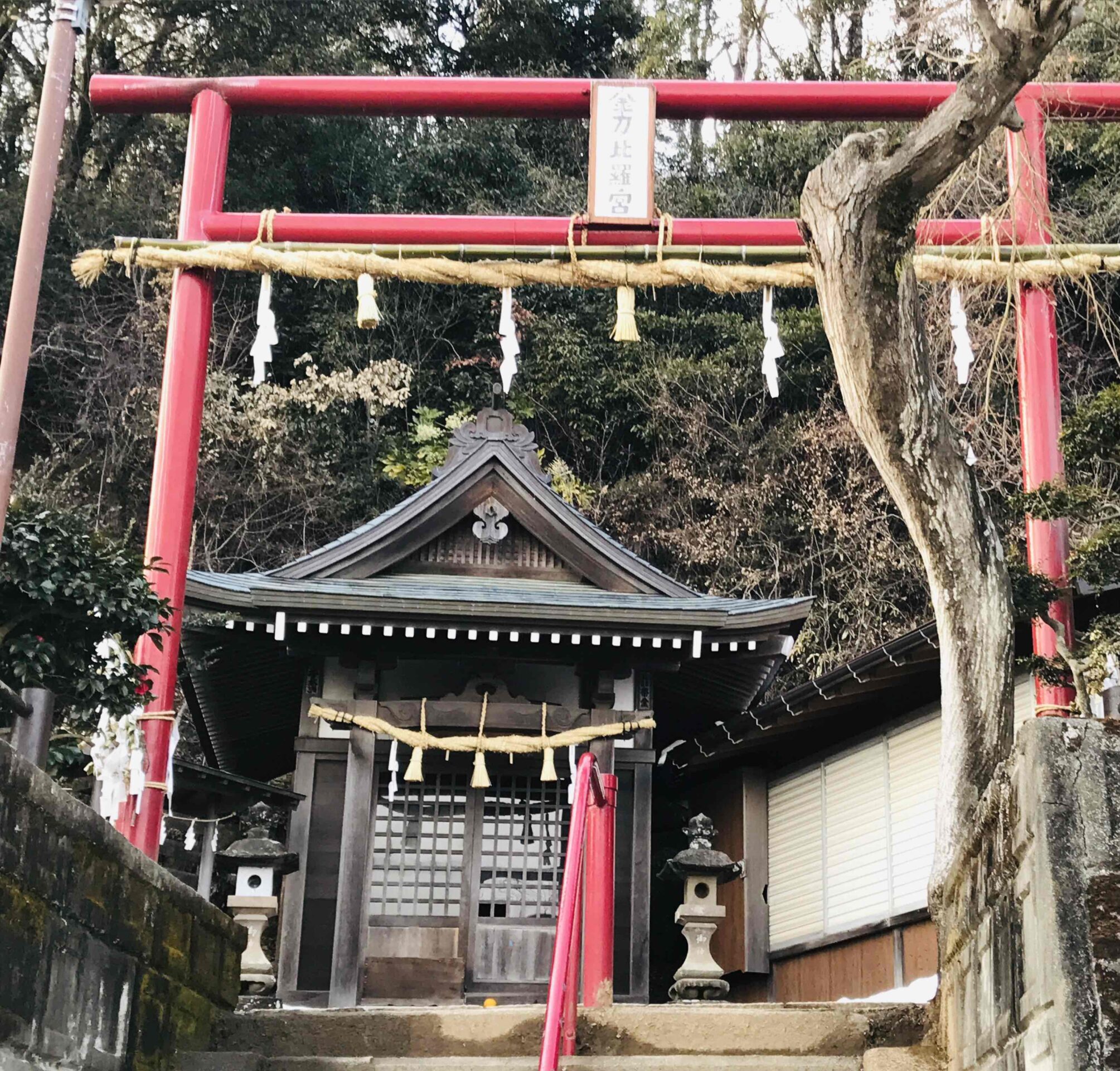 金刀比羅宮（龍籠山）ついに伝説の龍の山へ🐉