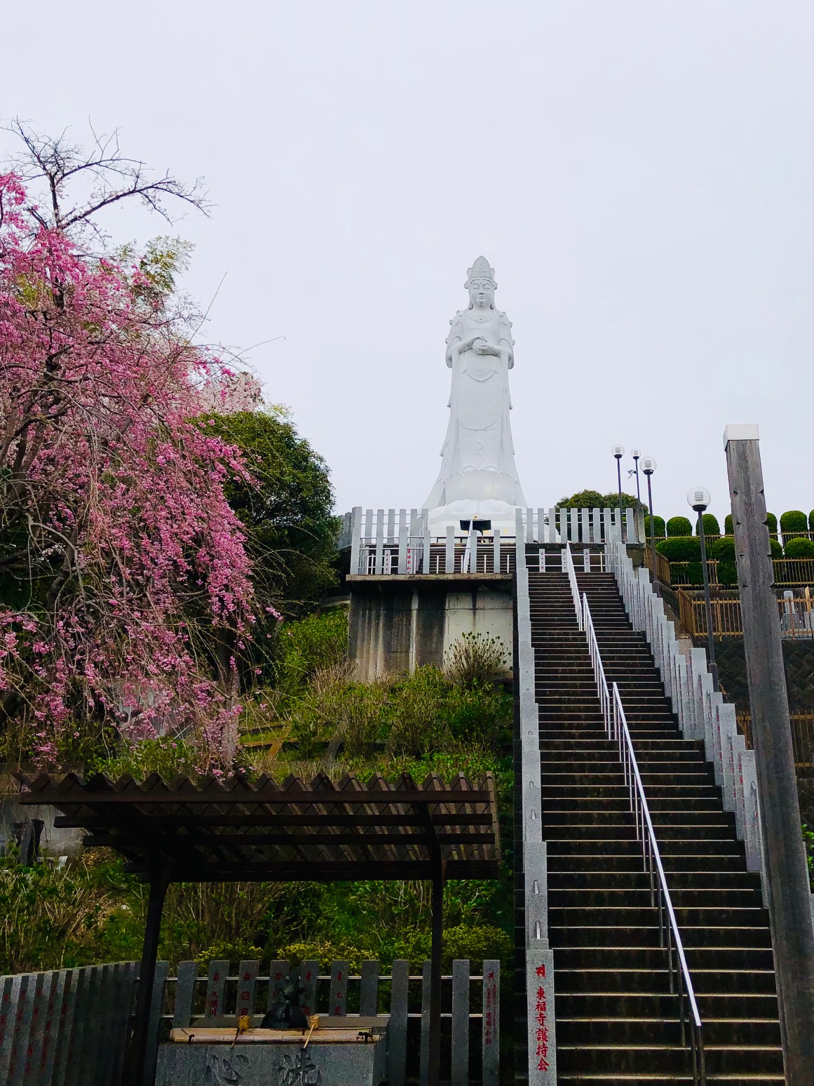 桜の名所