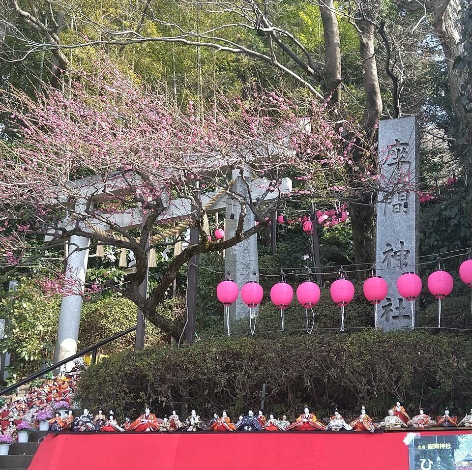 座間神社の「春よこい ひな祭り」に行ってきた