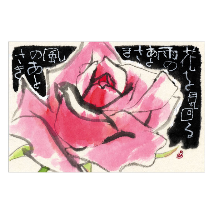 154号（2022.6）バラ／薔薇