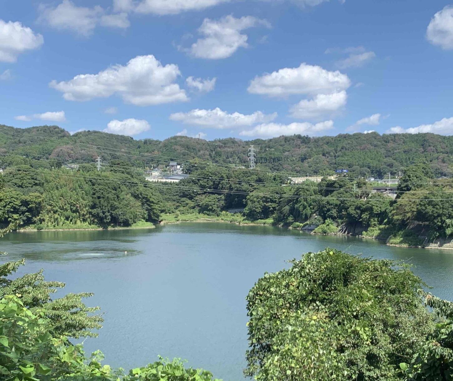 花の色（津久井城山公園・花の苑地）番外編