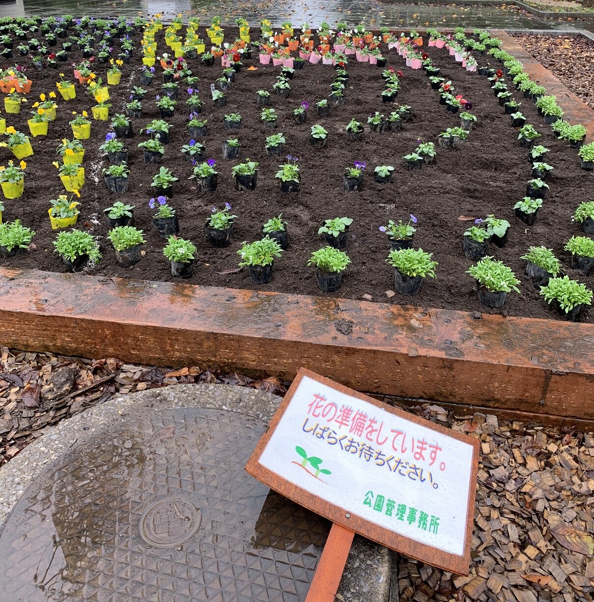 ただいま準備中（津久井湖城山公園・水の苑地）