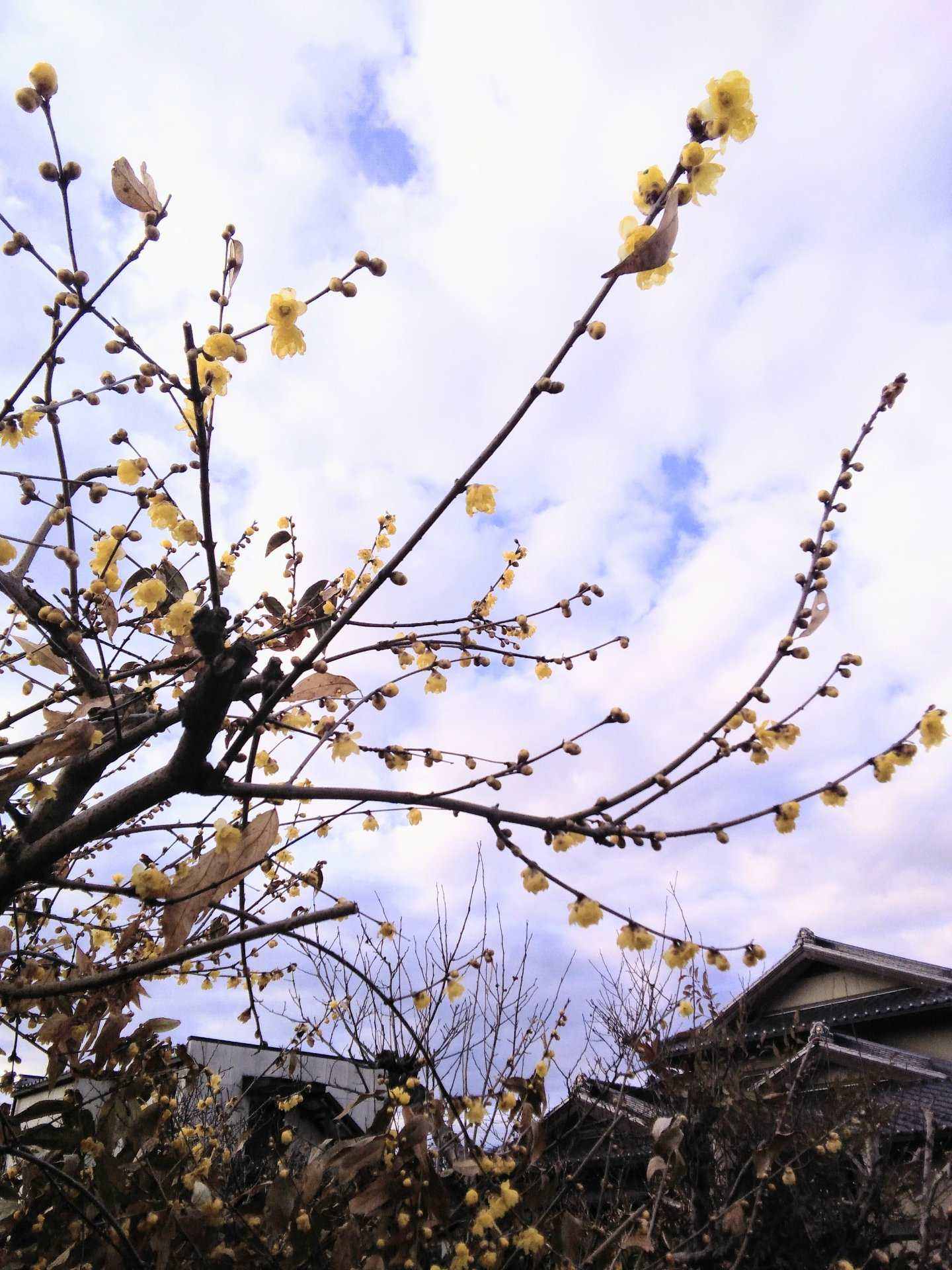 今年もお世話になりました