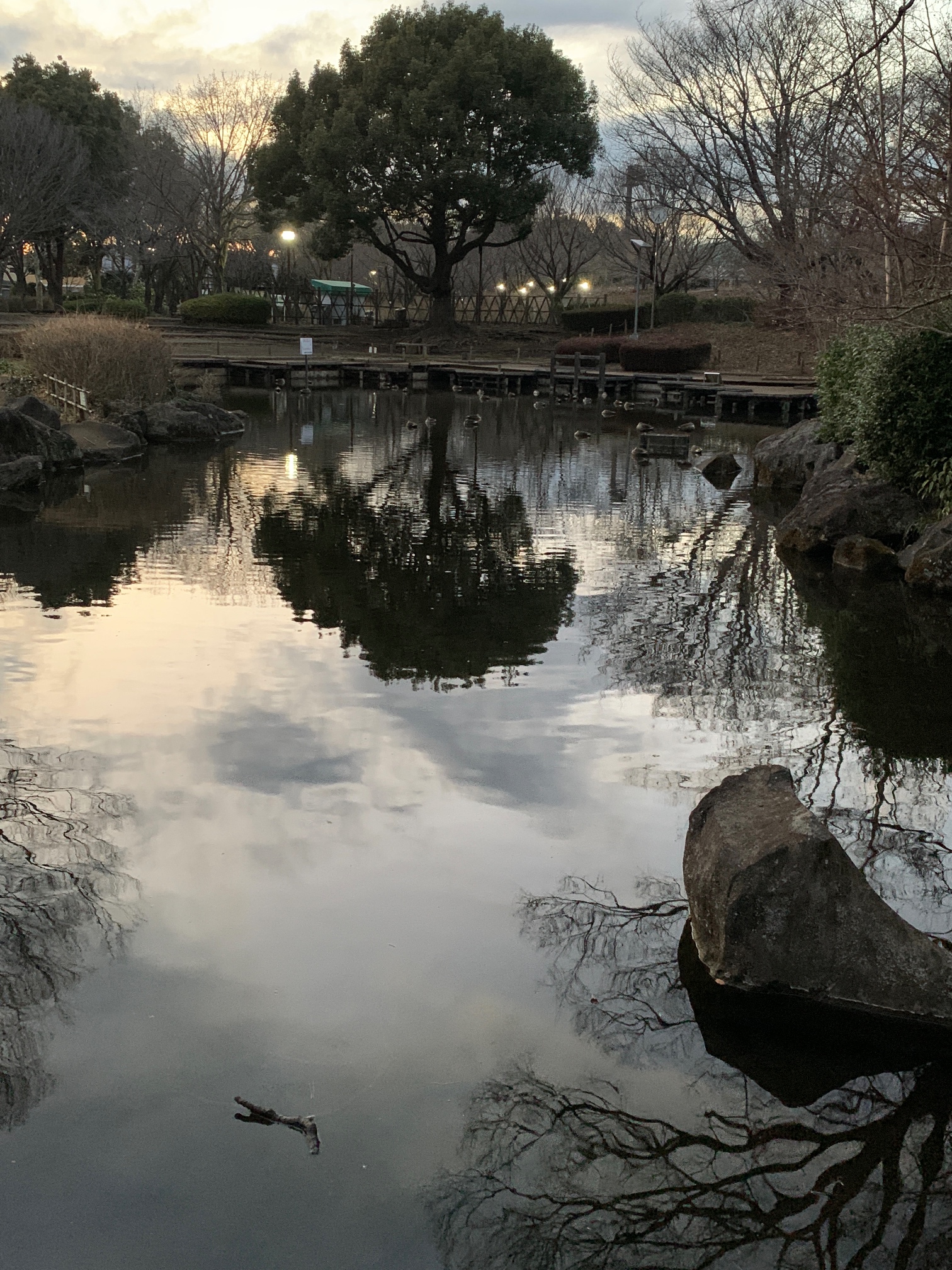 トワイライト（相模原北公園）