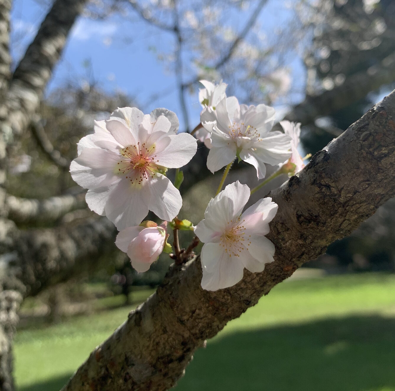 秋風に吹かれて③《相模原公園編》