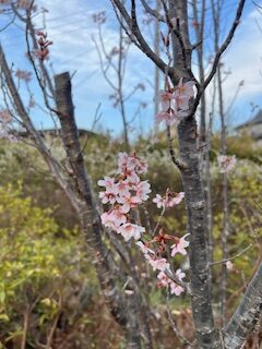 今日から4月