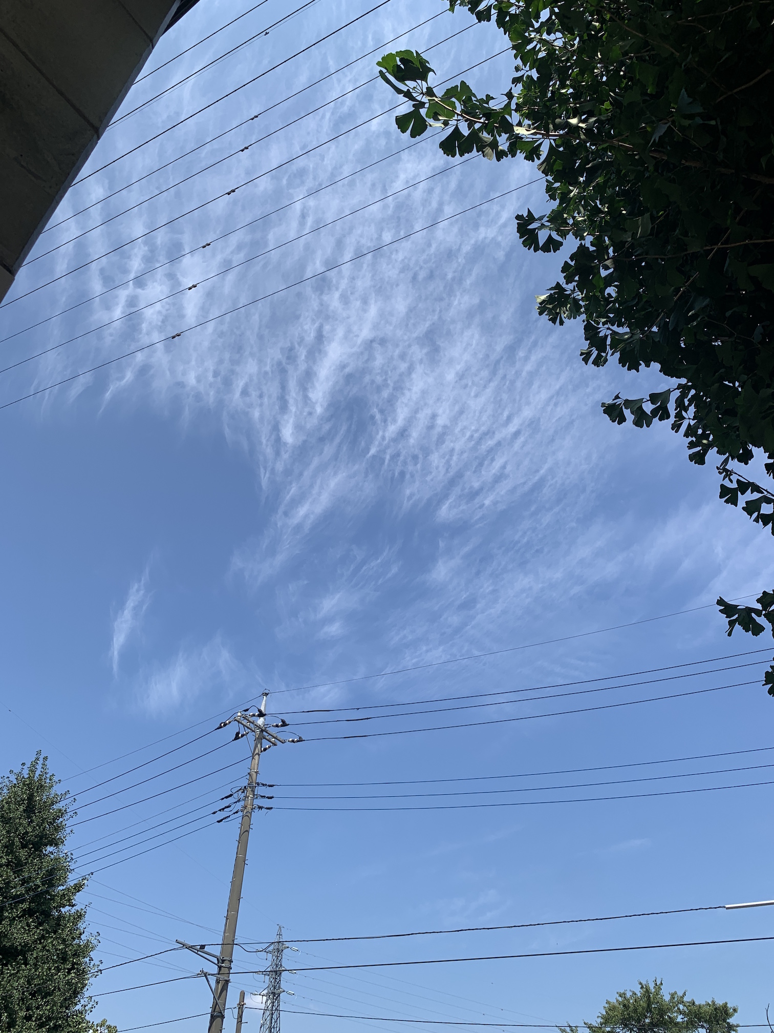 夏が終わる