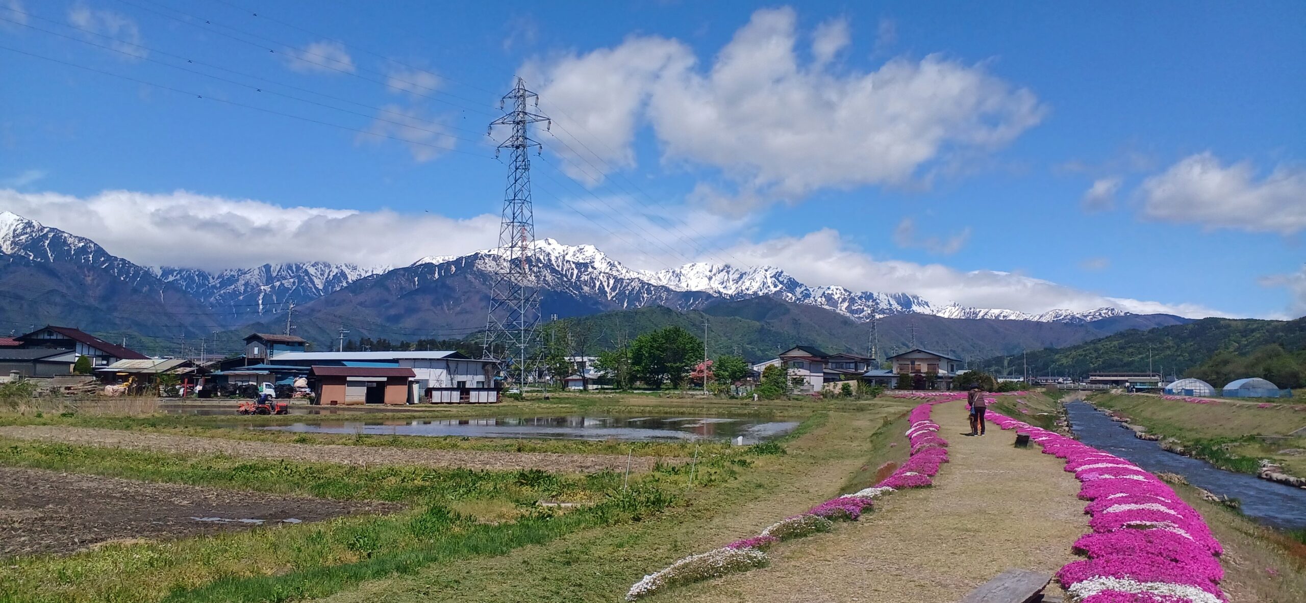 春ですね。花ですね。