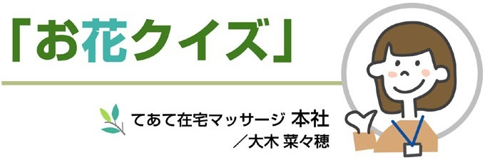 「お花クイズ」