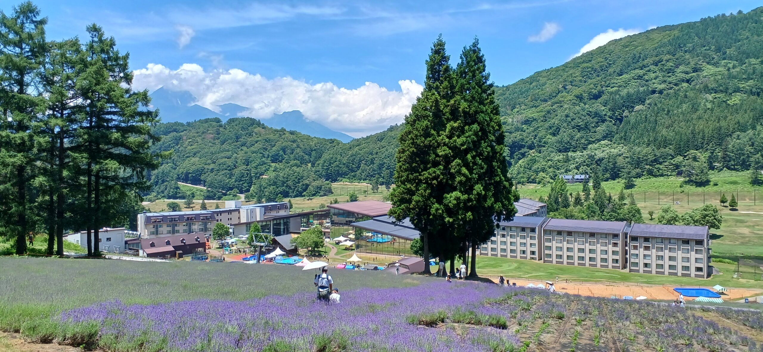 避暑！避暑！
