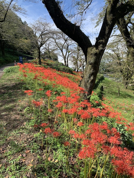火の川