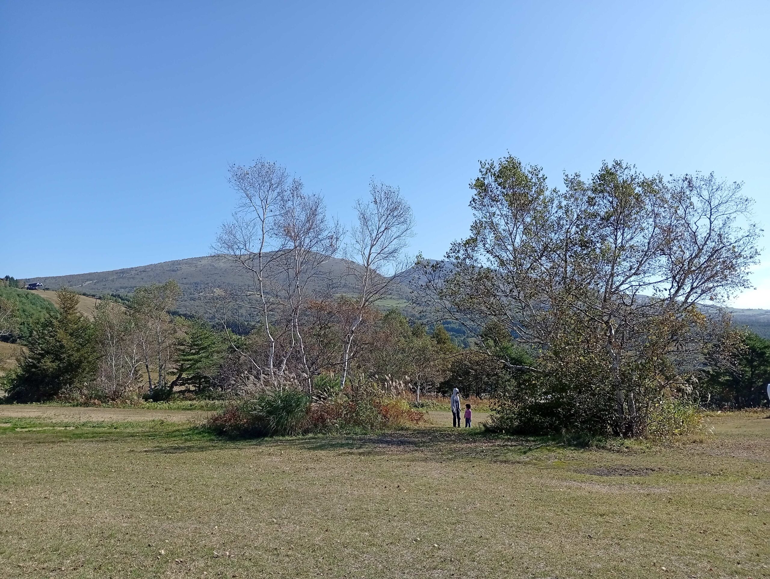 紅葉！でも暖かいです！