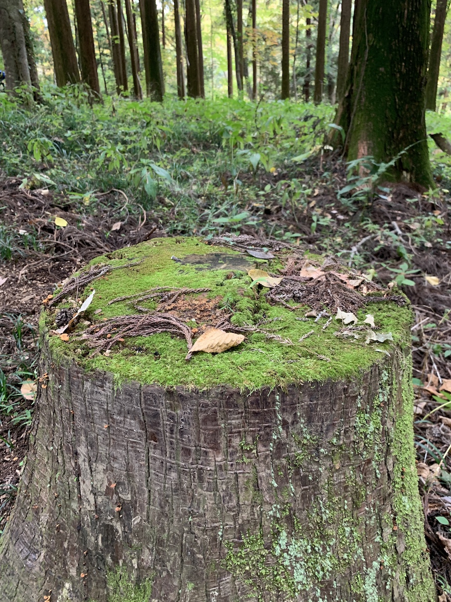 冬になりますね