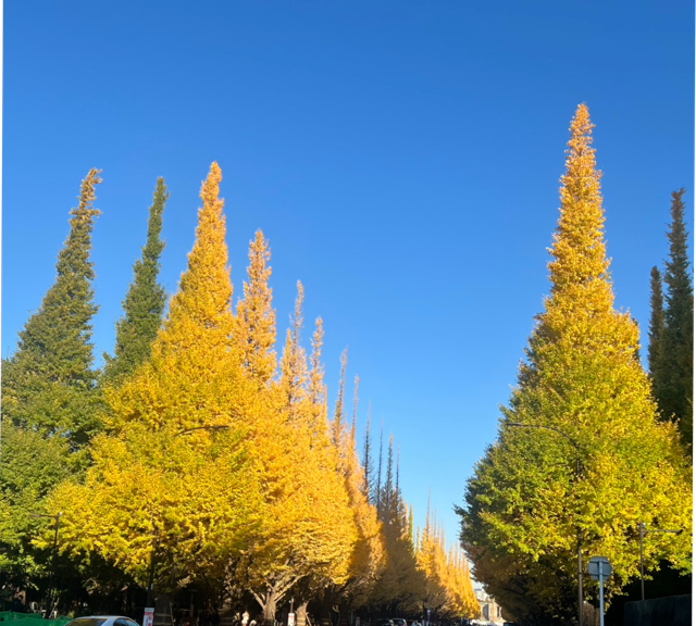 昭和、平成、令和だよ