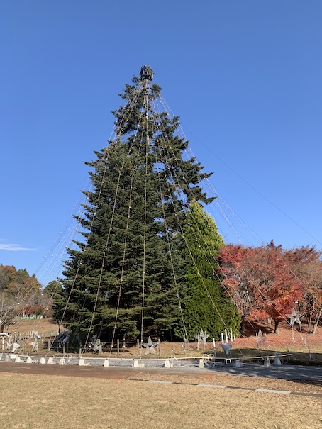 宮ヶ瀬の紅葉とツリー