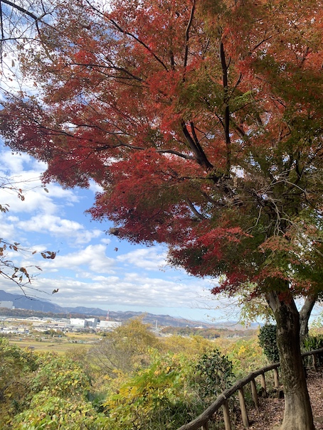八景の棚の紅葉
