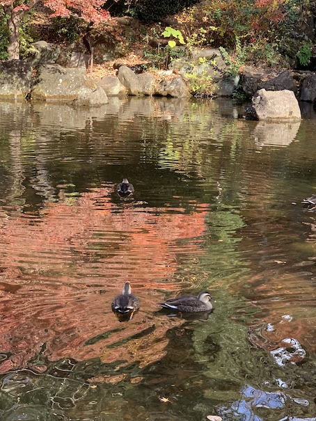 これまでとこれから