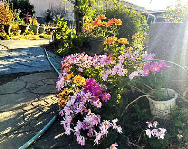 これからのゆるやかな継続への想い