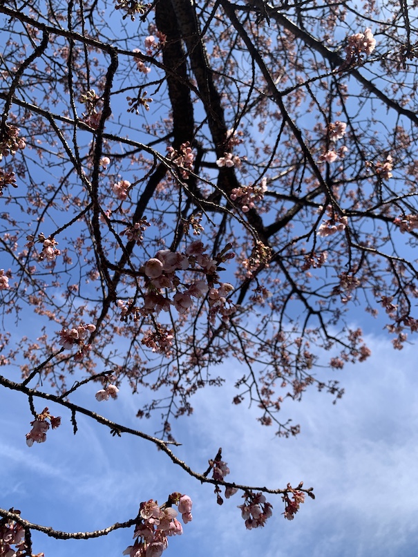 あの季節が今目の前