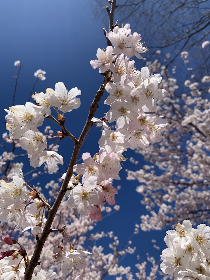 あの季節が今目の前②