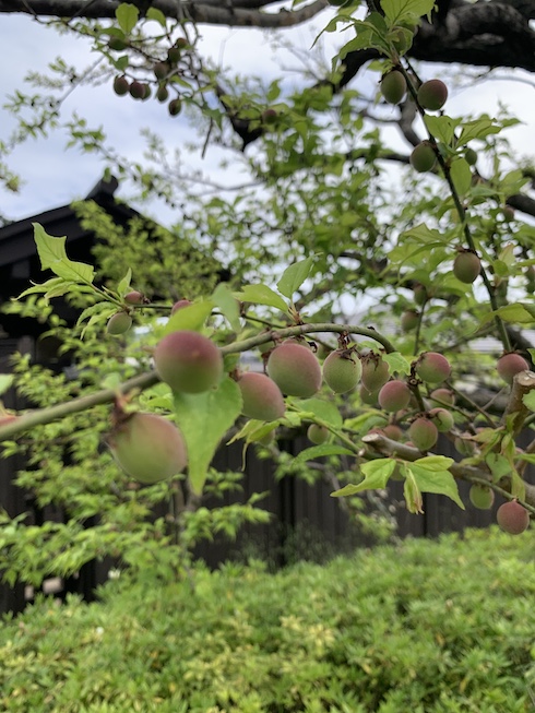 ネクストターン