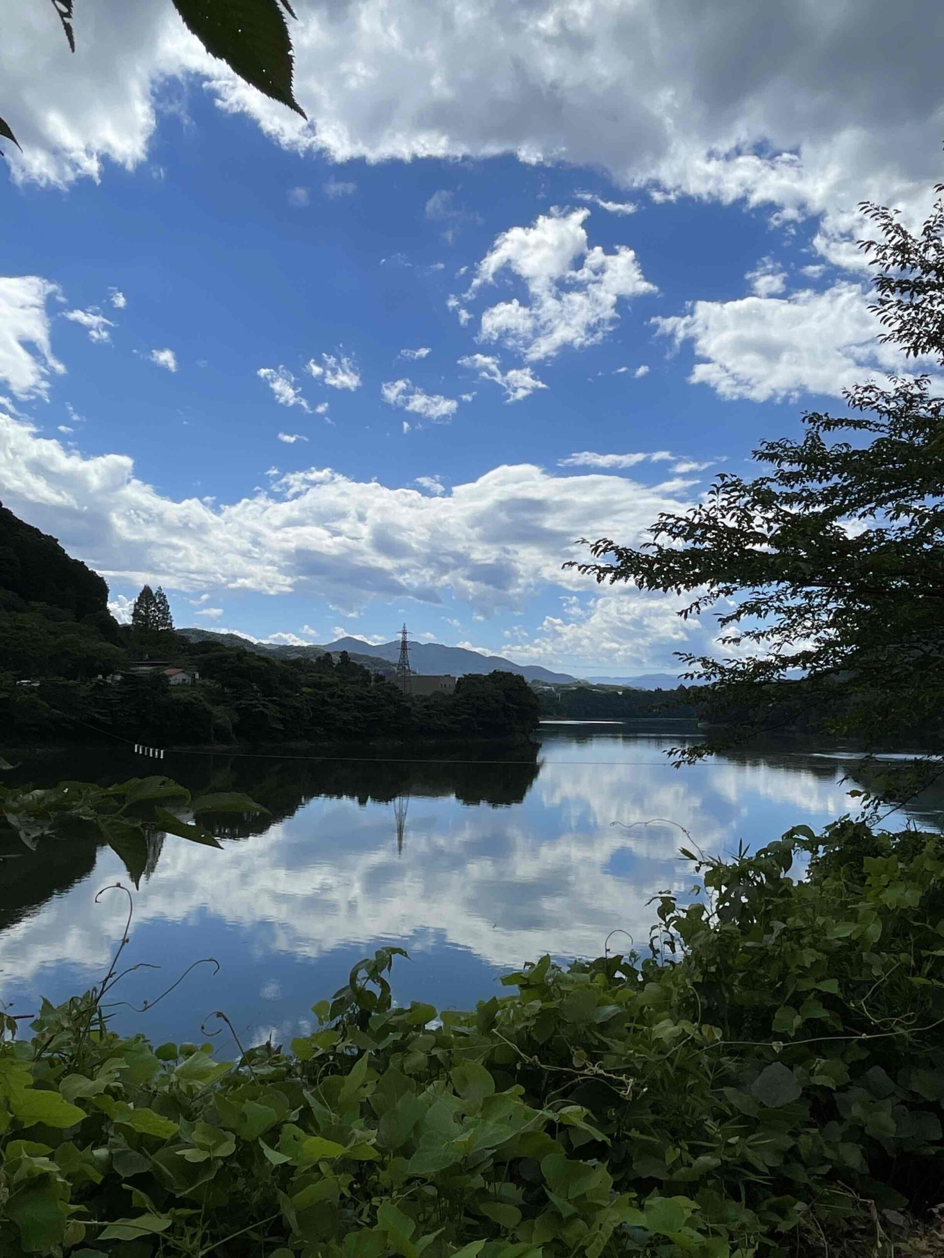 大暑のころ