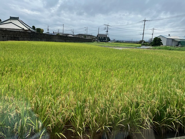 9月に想う