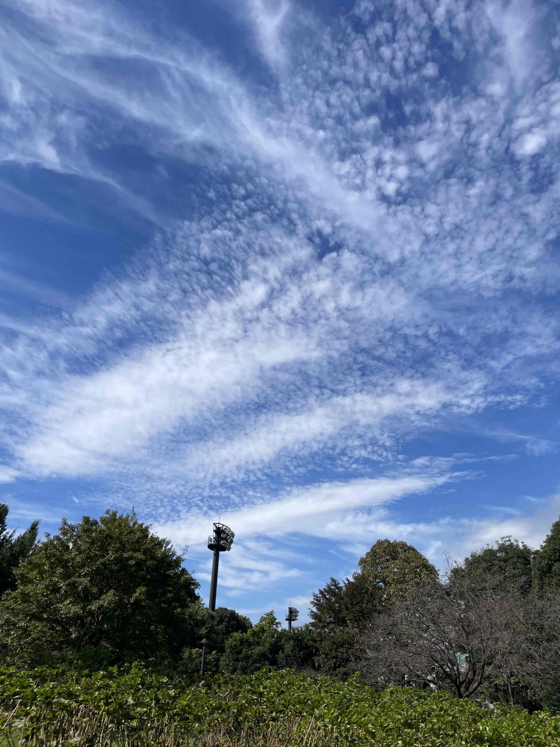 秋の雲