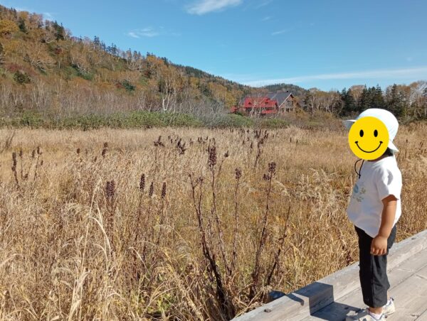 紅葉シーズンですね